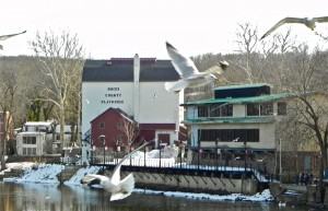 New Hope Free Press Bucks County Playhouse New Hope Free Press Bucks County Playhouse