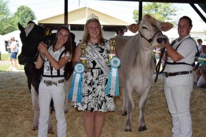 Erin Wolfe of Doylestown won Best of Show in Dairy, while Sandra Krone of Fountainville was Reserve and also Champion Showman