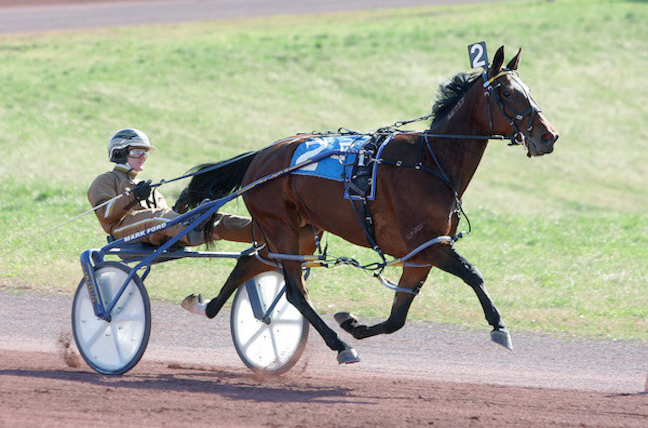 Pocono Downs Printable Racing Forms - Printable Forms Free Online