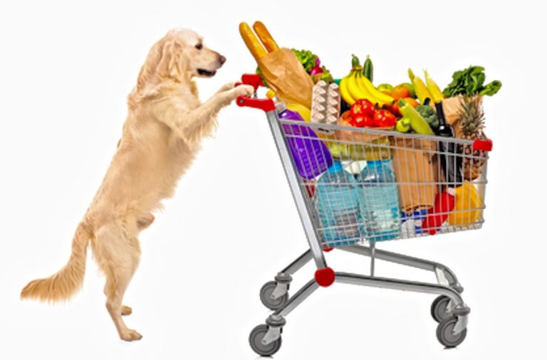 Dogpushinggrocerycart (1) New Hope Free Press