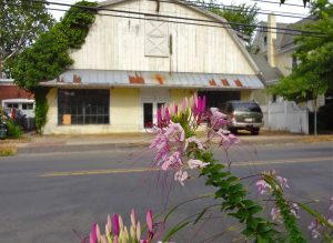 46 N. Main St. in 2012, with Elisa Fusco's flowers in foreground.