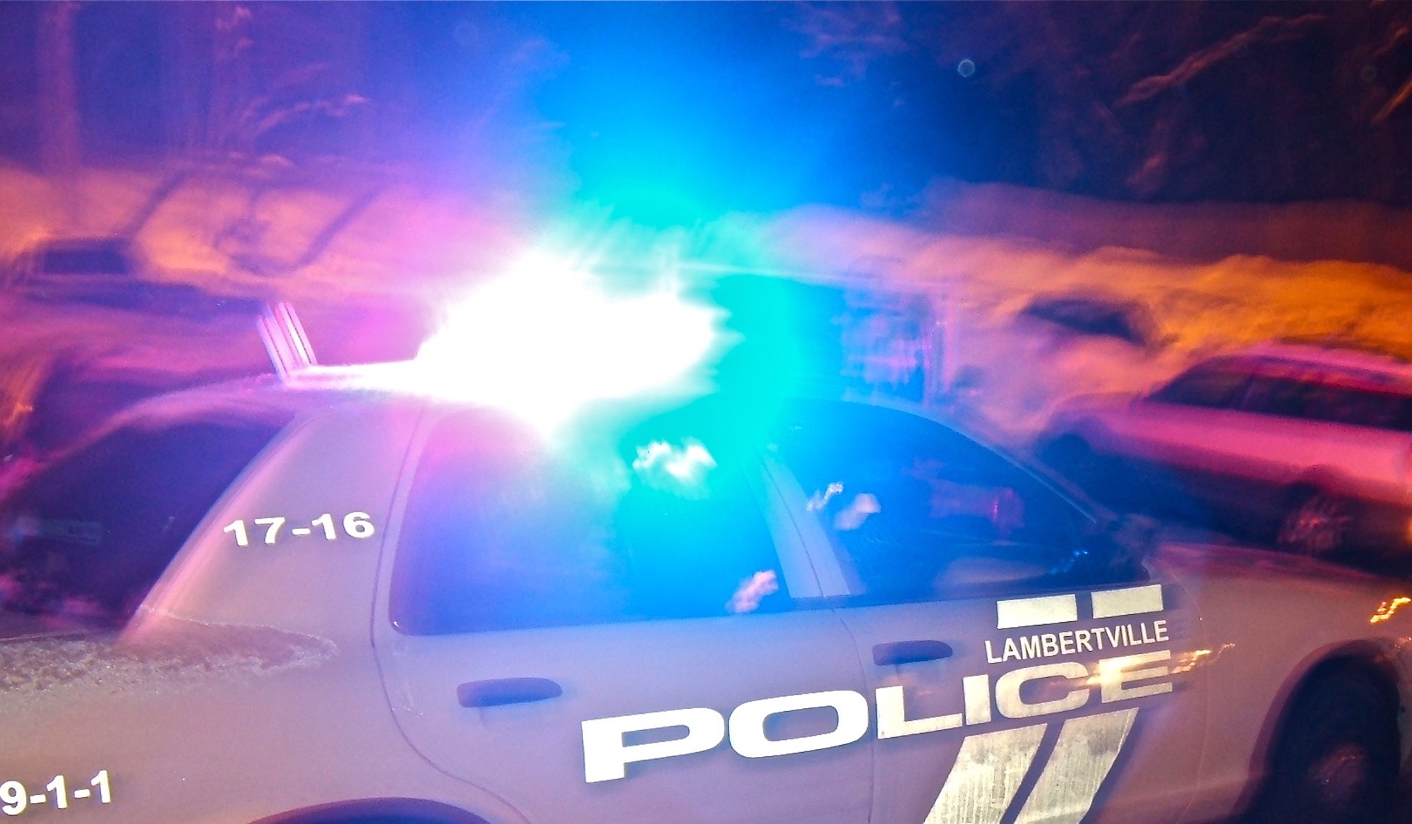 Police Log Serial Flower Pot Thief, Assault Of Cops & More New Hope