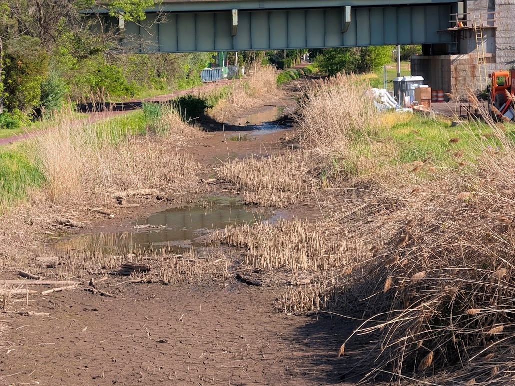 Pump Problem Has Left New Hope Canal Section Dry - New Hope Free Press